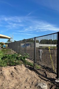 WhatsApp Image 2025-11-01 at 02.05.41